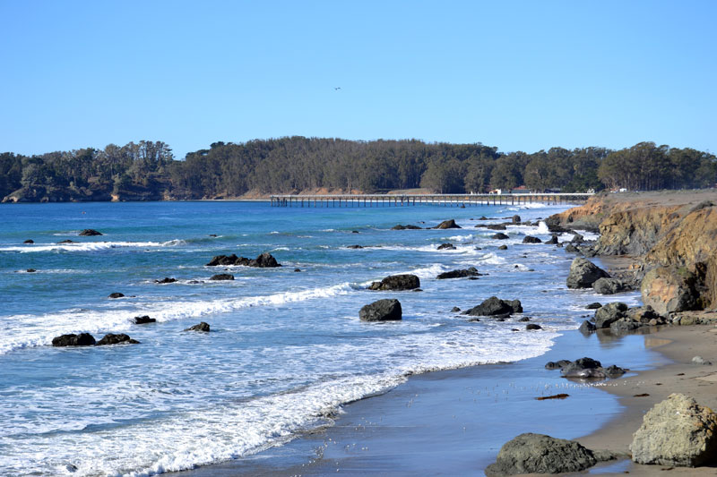 Fale oceanu przy piaszczystej plaży wzdłuż Highway 1