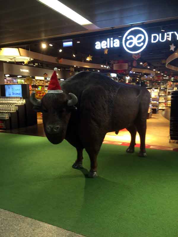 Statua di bisonte con decorazioni natalizie all'aeroporto di Varsavia Okęcie.