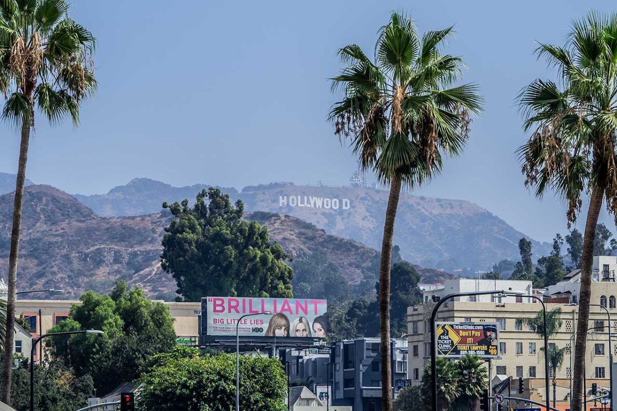 Scritta Hollywood e Palme La scritta Hollywood visibile in lontananza tra le palme di Los Angeles.