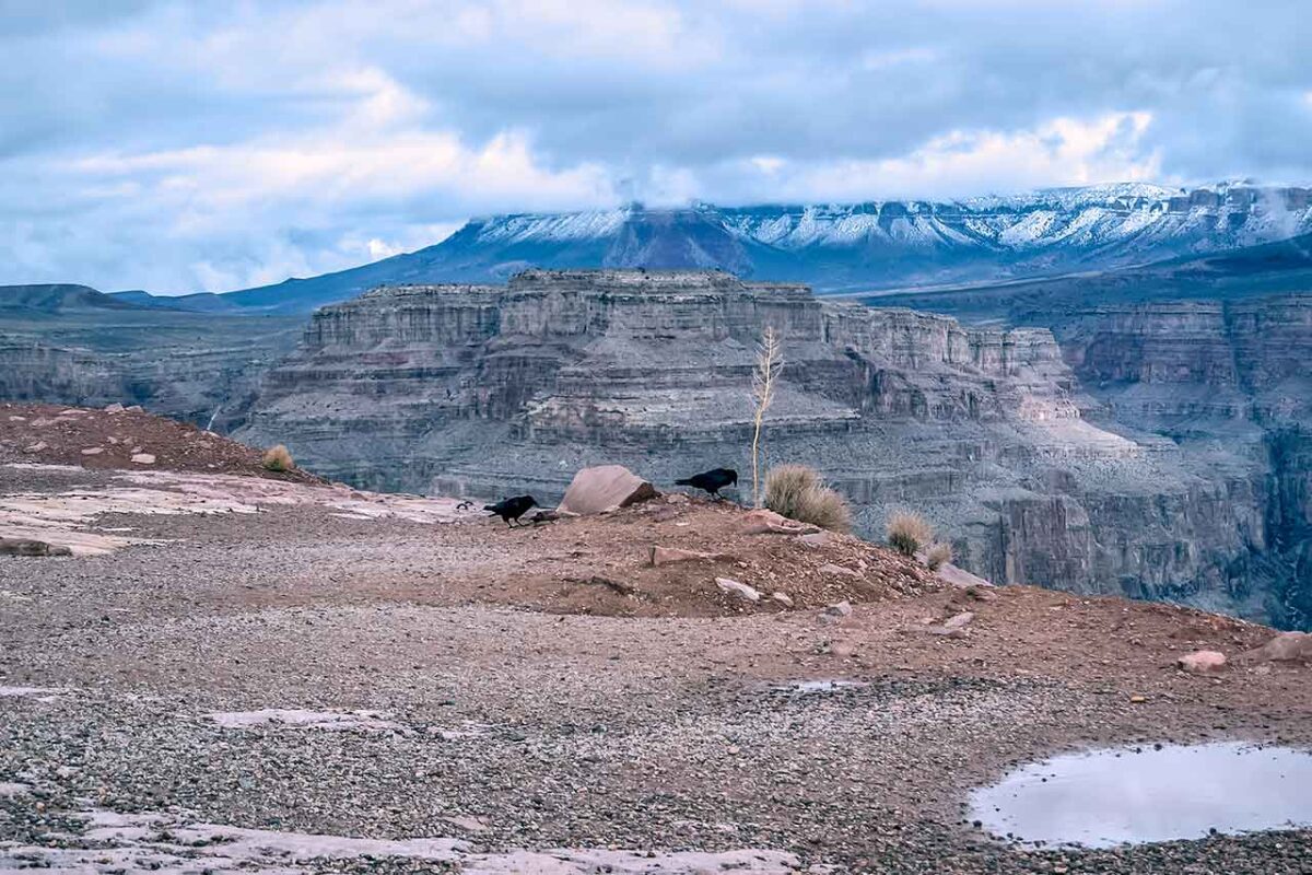 Grand Canyon West Rim – skały i niebo