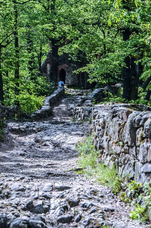 Leśna ścieżka prowadząca do ruin zamku Stary Książ
