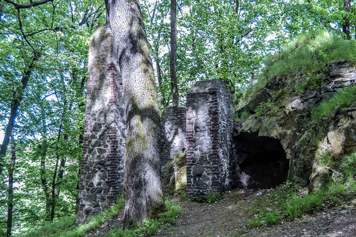 Wejście do ruin zamku Stary Książ w lesie