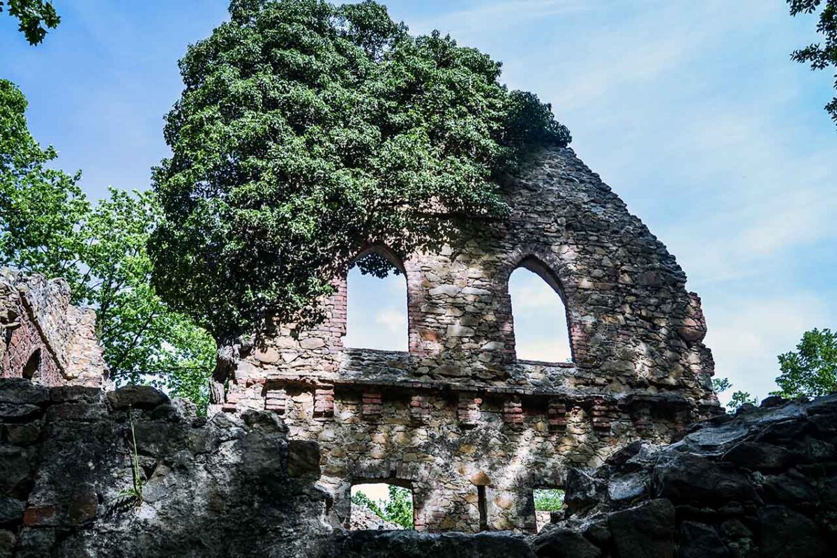 Mur ruin z dużym oknem porośniętym roślinnością