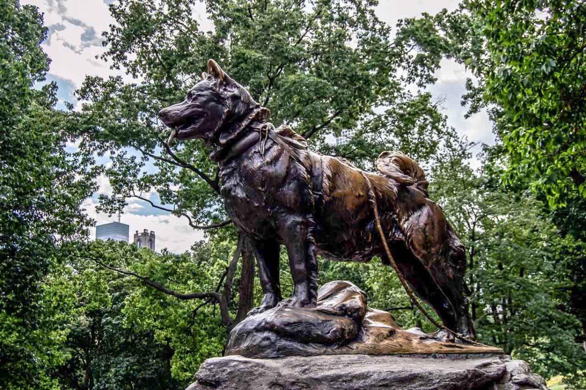 La famosa scultura in bronzo dedicata al cane Balto nel Central Park di New York.