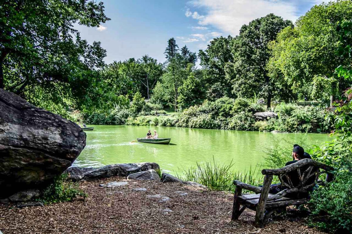 Zielone brzegi jeziora The Lake z ławką i skałami