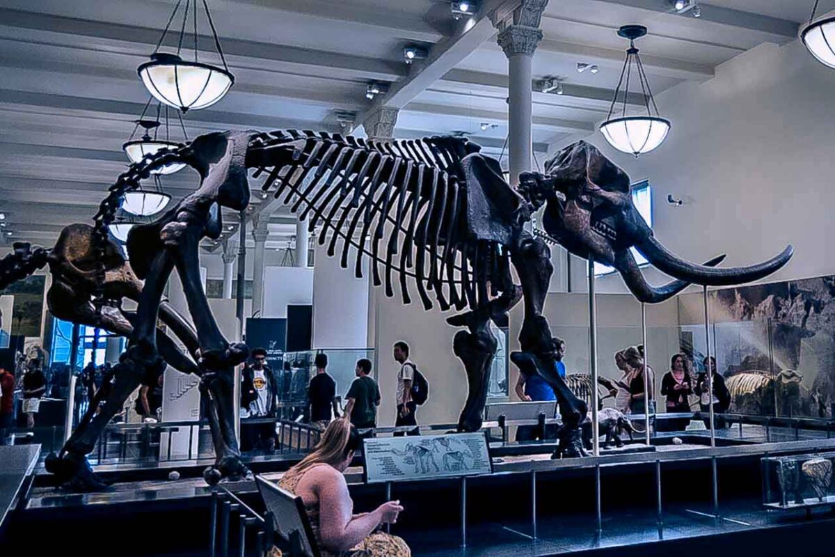Facciata monumentale dell'American Museum of Natural History a New York.