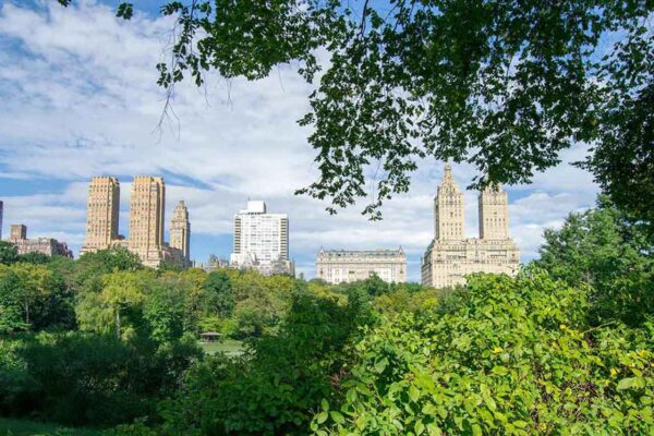 Widok z Central Parku na zieleń i budynki Manhattanu