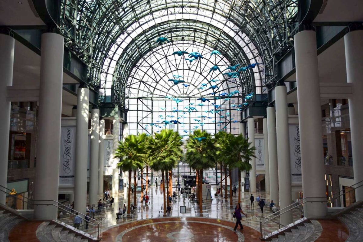 Wnętrze Winter Garden z palmami i szklaną kopułą