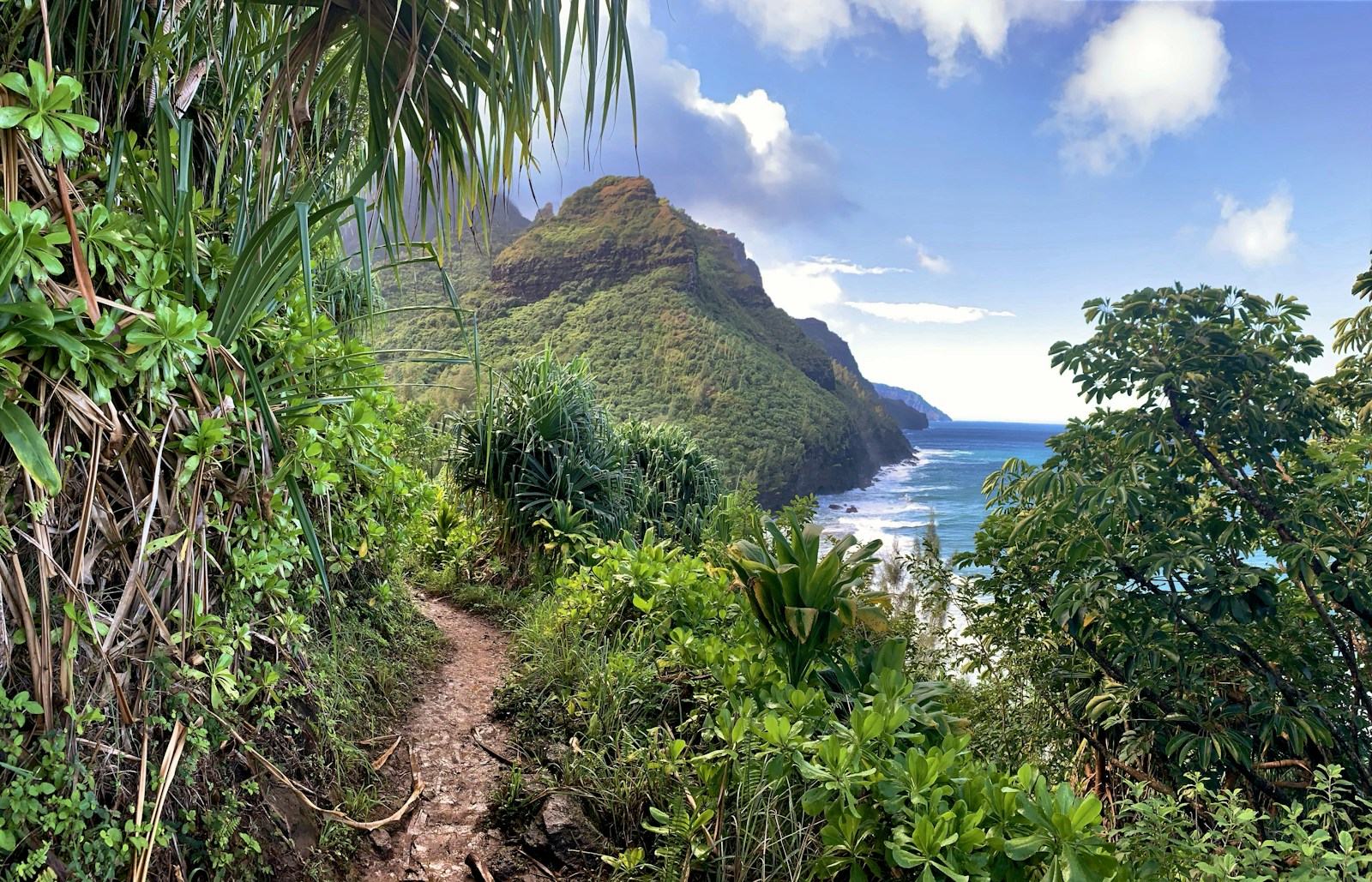 Wąska ścieżka wśród zieleni z widokiem na góry i ocean na Kauai