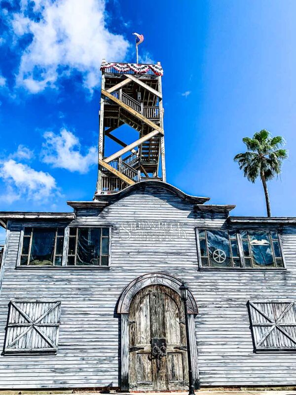 Torre di osservazione in legno stagliata contro il cielo azzurro e le palme.