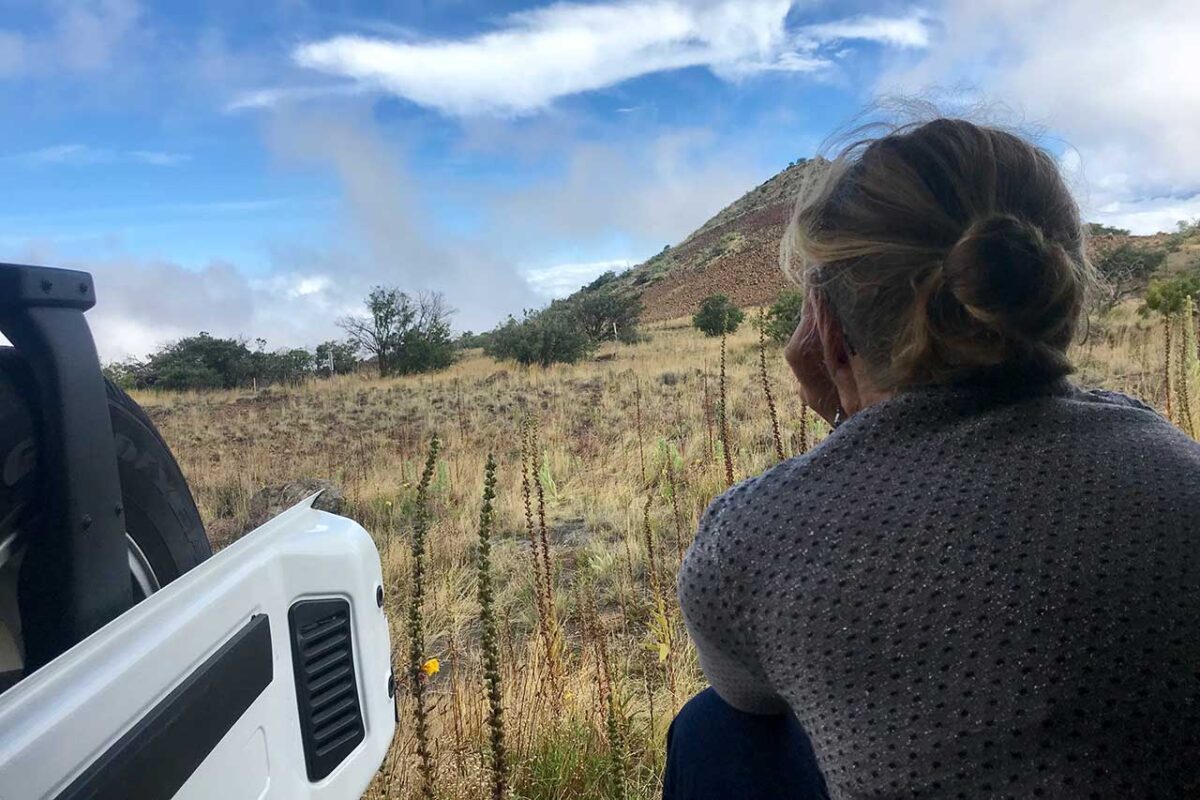Sulla strada per la cima del vulcano Mauna Kea – sosta presso il VIS.